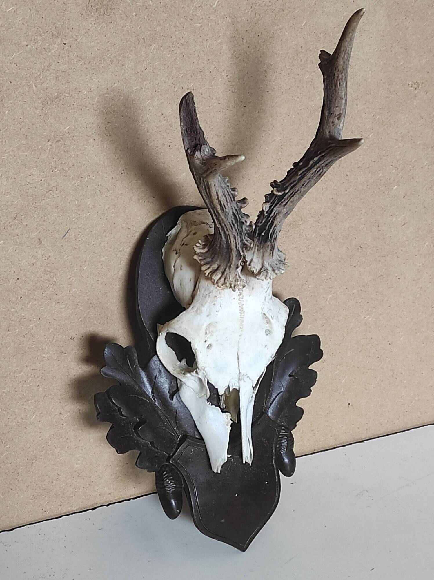 Massacre young deer on carved wooden crest with oak leaves and acorns