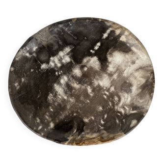 Empty pocket or dish in medium petrified wood