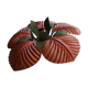 Ceiling lamp palm 70s