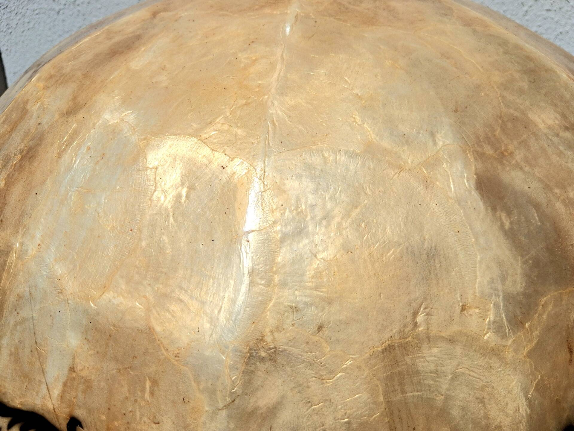 Large mother-of-pearl vase with arabesque decoration, vintage design.