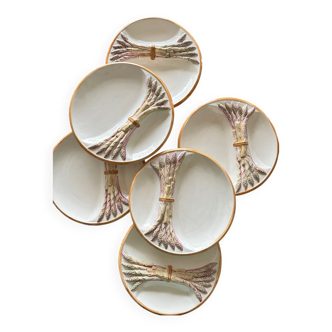 Asparagus plates barbotine