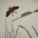 Old engraving from 1838 - Zygene butterfly and herbs - Original zoological and botanical plate