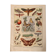 Lithographie sur les papillons de 1921