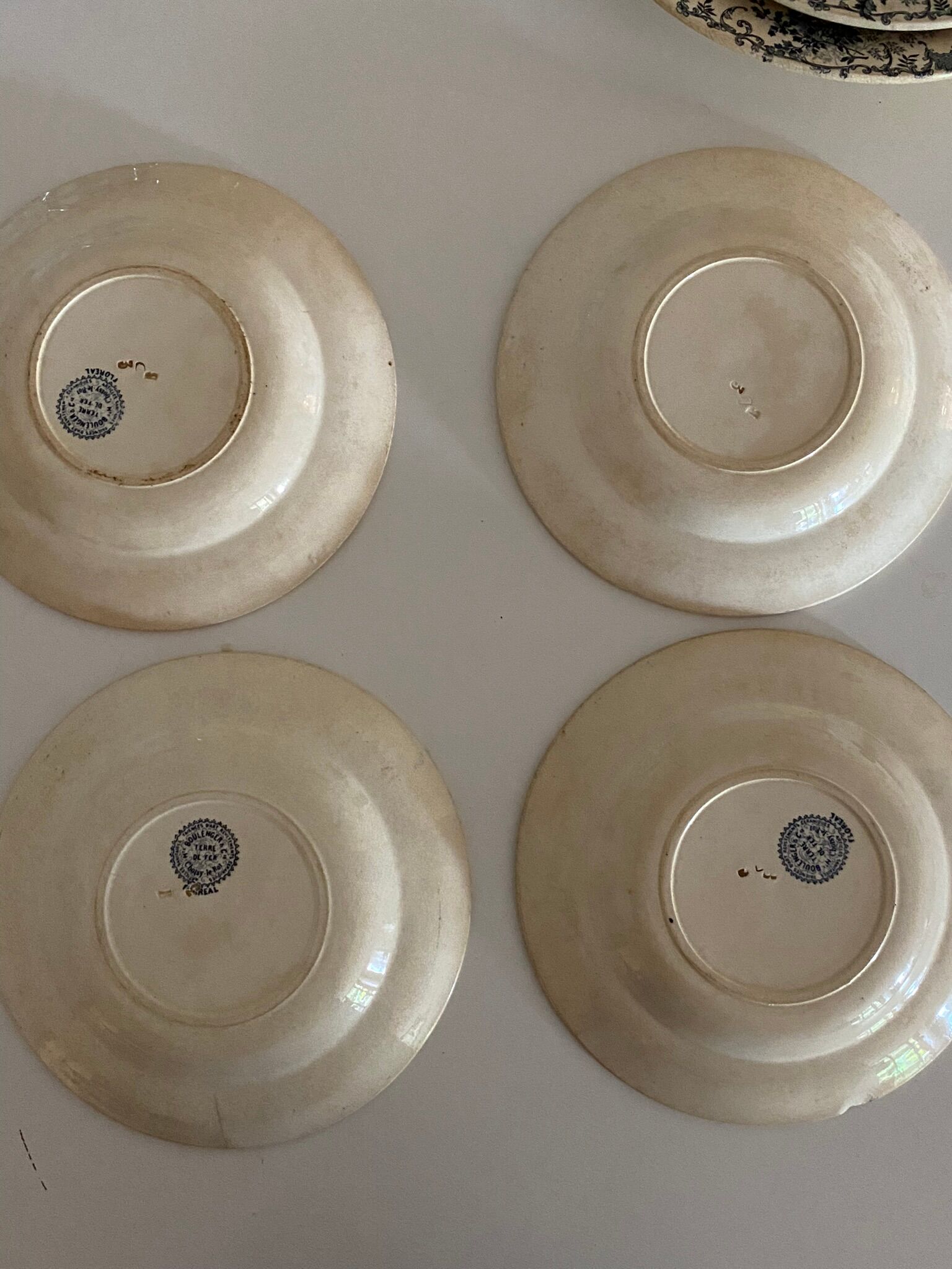 Hollow plates in iron earth, Boulenger