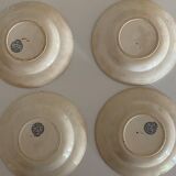 Hollow plates in iron earth, Boulenger