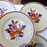 5 flat plates 2010146