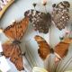Vintage butterfly frame