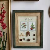Vintage frame "The spices"
