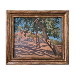 Étude d'arbres en Algérie-