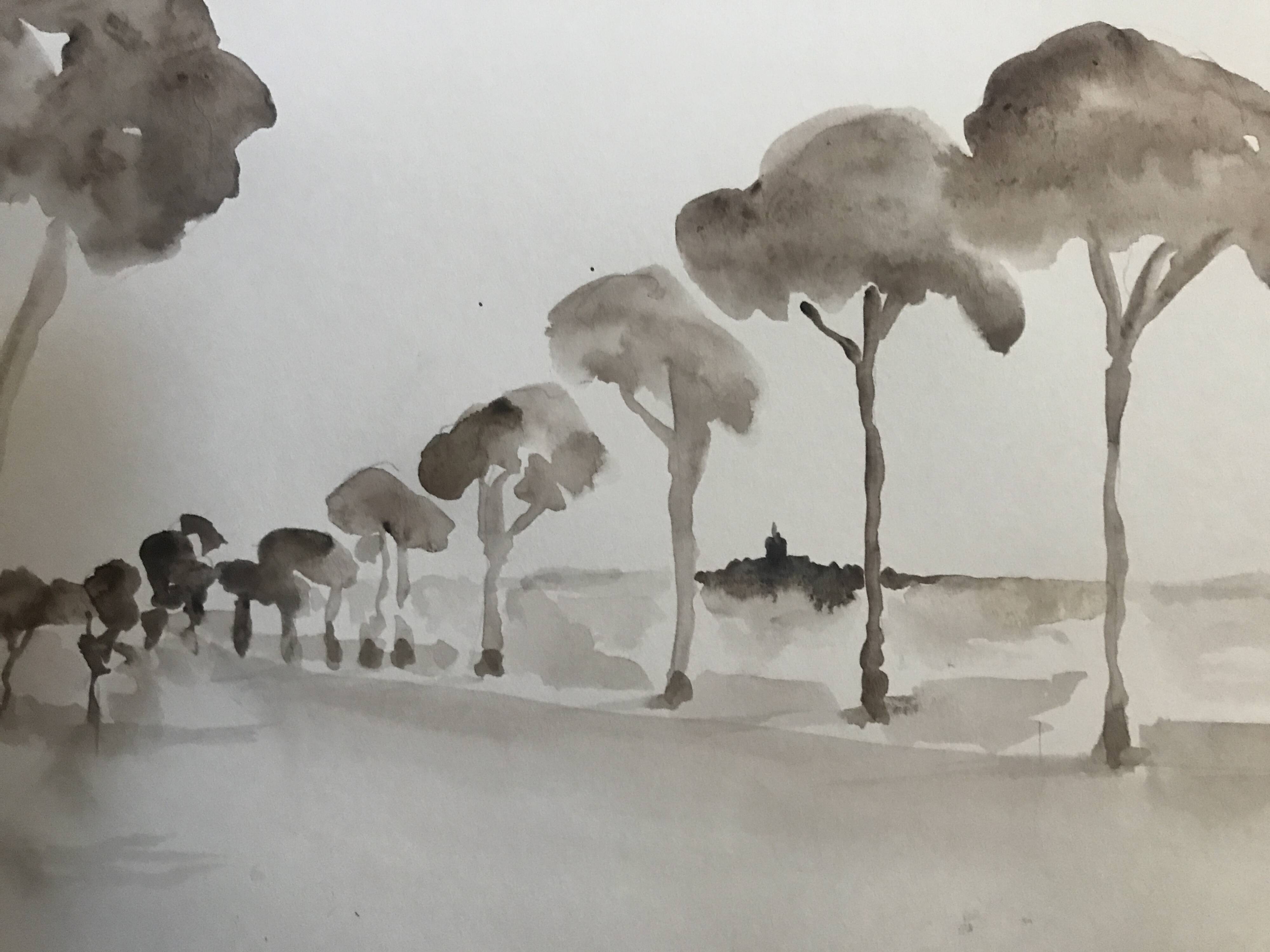 Painting signed monochrome watercolor “pine forest in Provence”