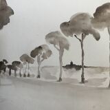 Painting signed monochrome watercolor “pine forest in Provence”