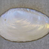 Caviar mother-of-pearl shell
