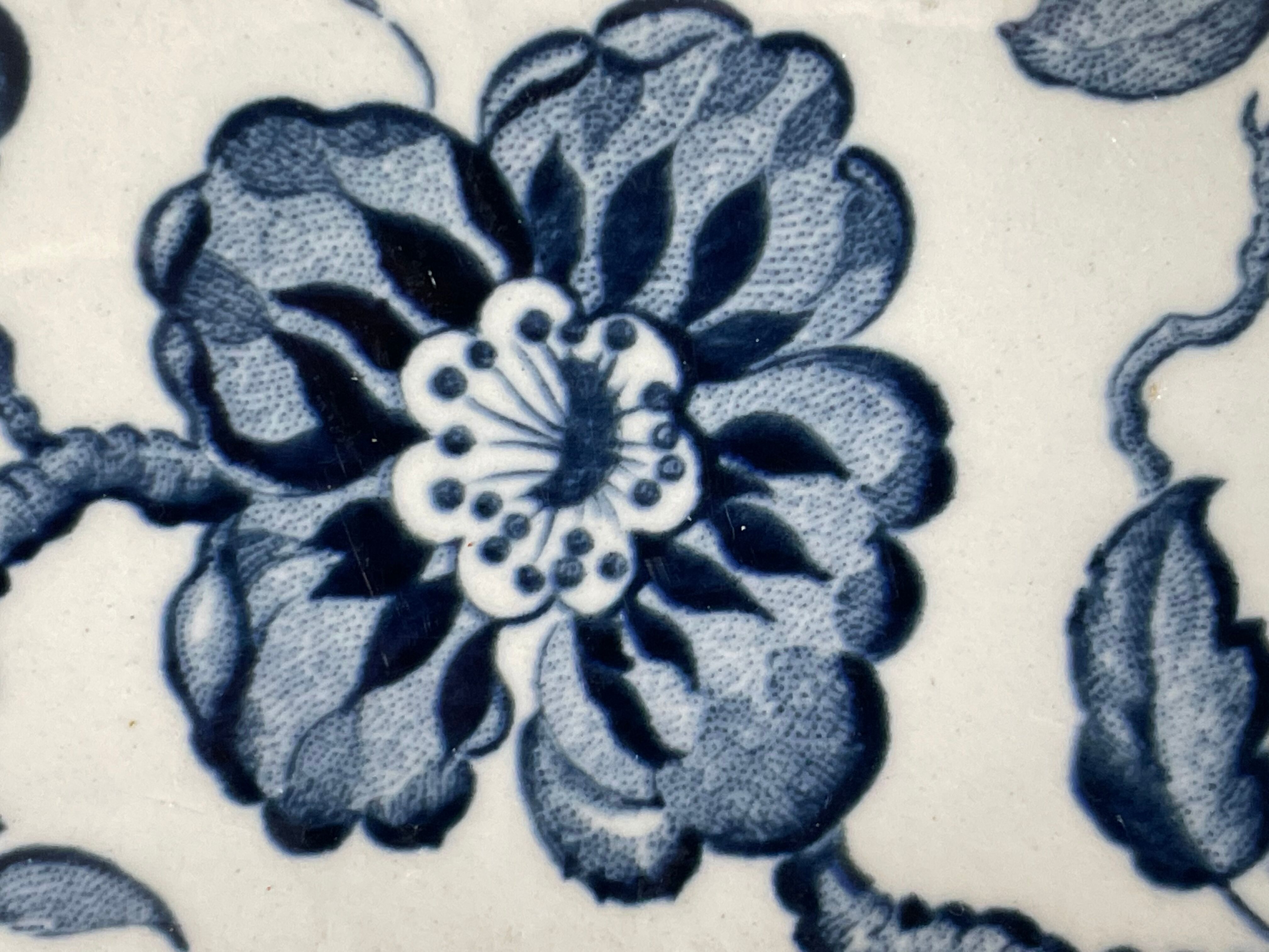 Set of 6 plates Villeroy & Boch Paradiso