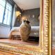 Antique Louis-Philippe 19th century mirror