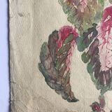 Solenostermon (Coleus Blumei), 1950s. Watercolor on paper
