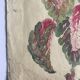 Solenostermon (Coleus Blumei), 1950s. Watercolor on paper