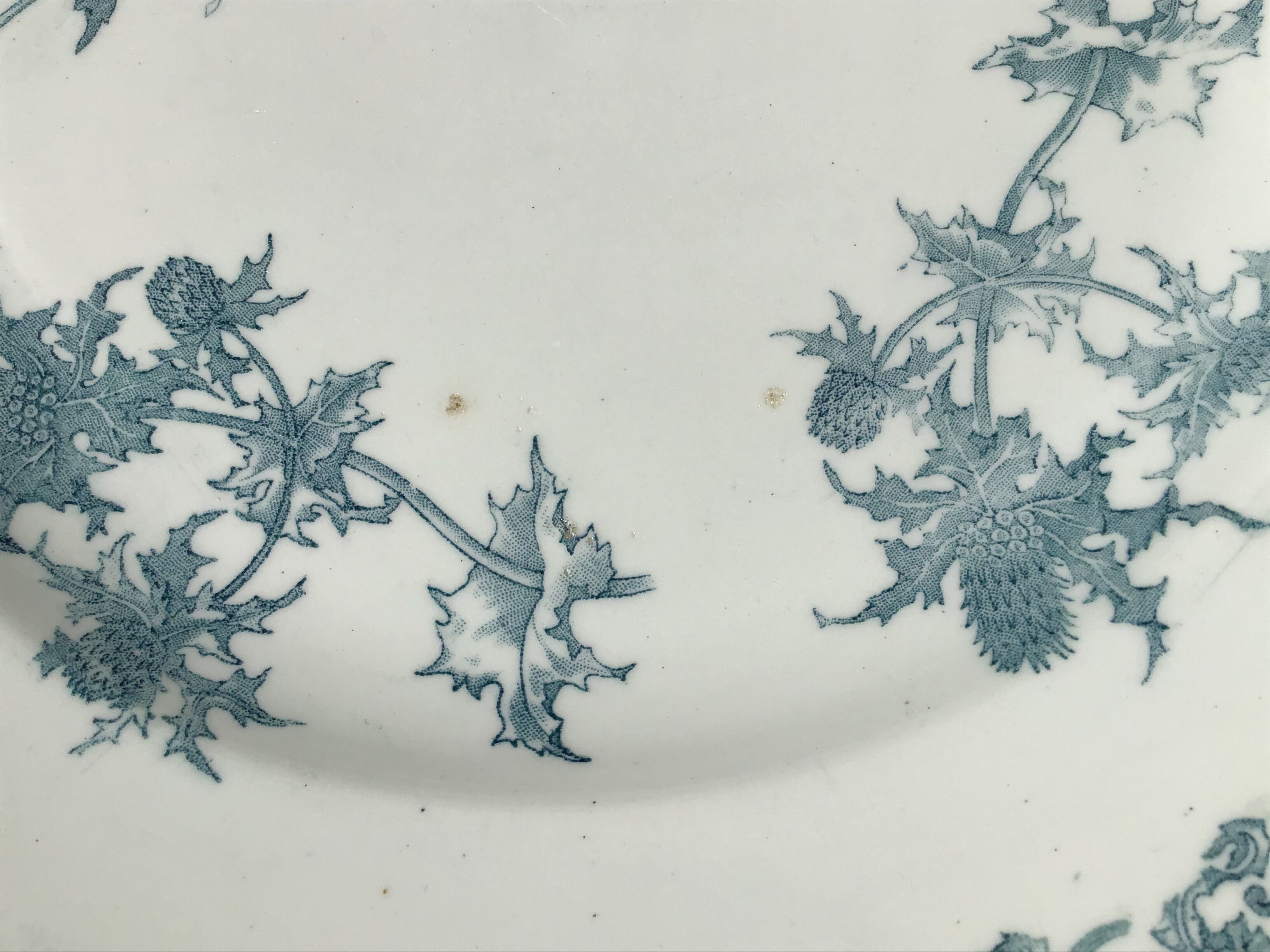 Iron Earth dishes thistle 29 and 32cm L.G Righi blue ink