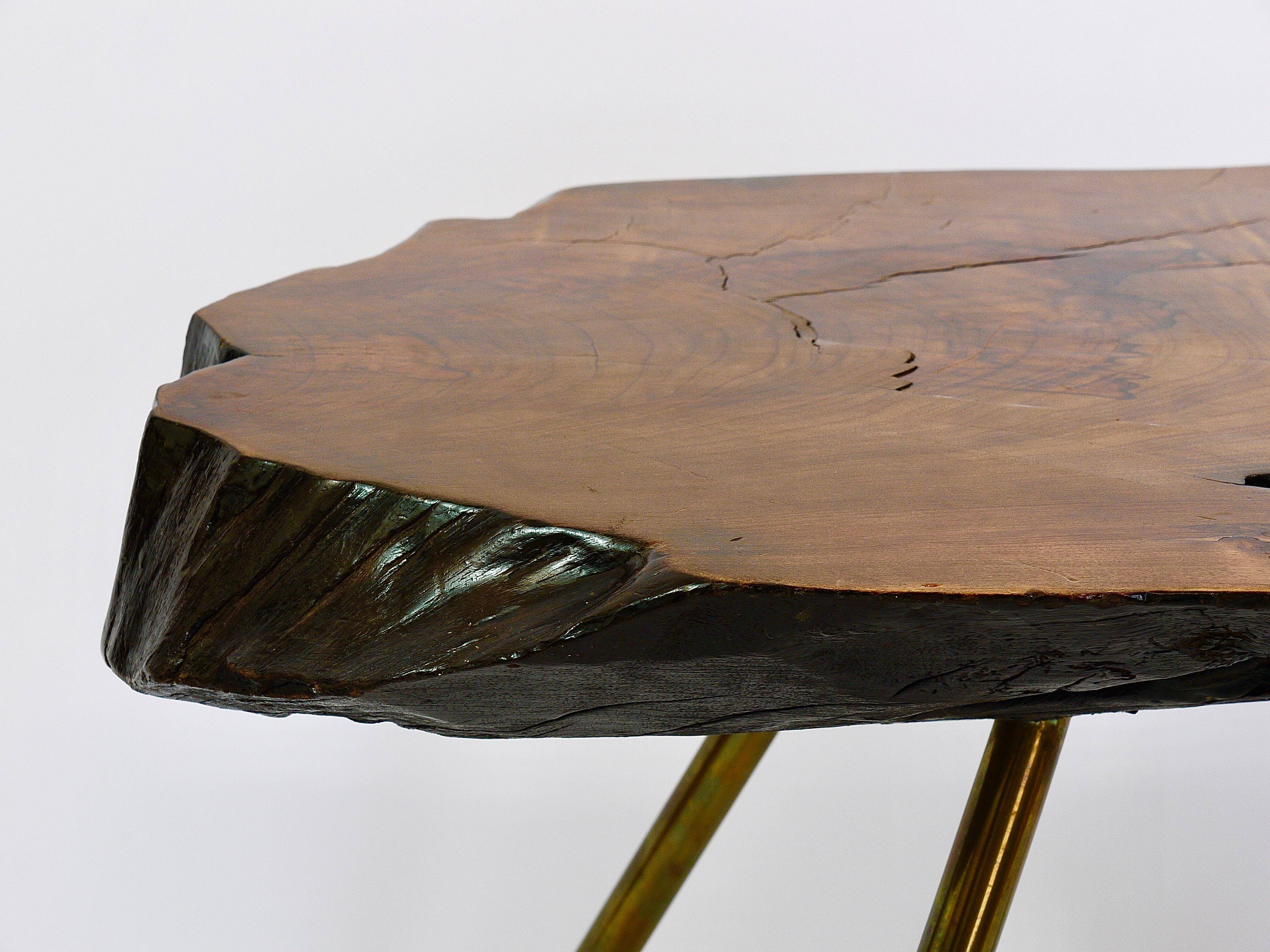 Original coffee table by Carl Aubock, large tree trunk in walnut from the mid-century, 1950s.