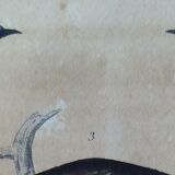 Original Ornithological plate " Pitpit bleu - Roitelet - Roitelet mésange - &c... " Buffon (1836)