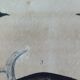 Planche Ornithologique originale " Pitpit bleu - Roitelet - Roitelet mésange - &c... " Buffon 1836