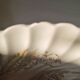 8 assiettes creuses en terre de fer , Johnson bros