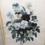 Former botanical board gilded frame PJ Redouté "Bouquet of Thoughts" Printing Victor 19th
