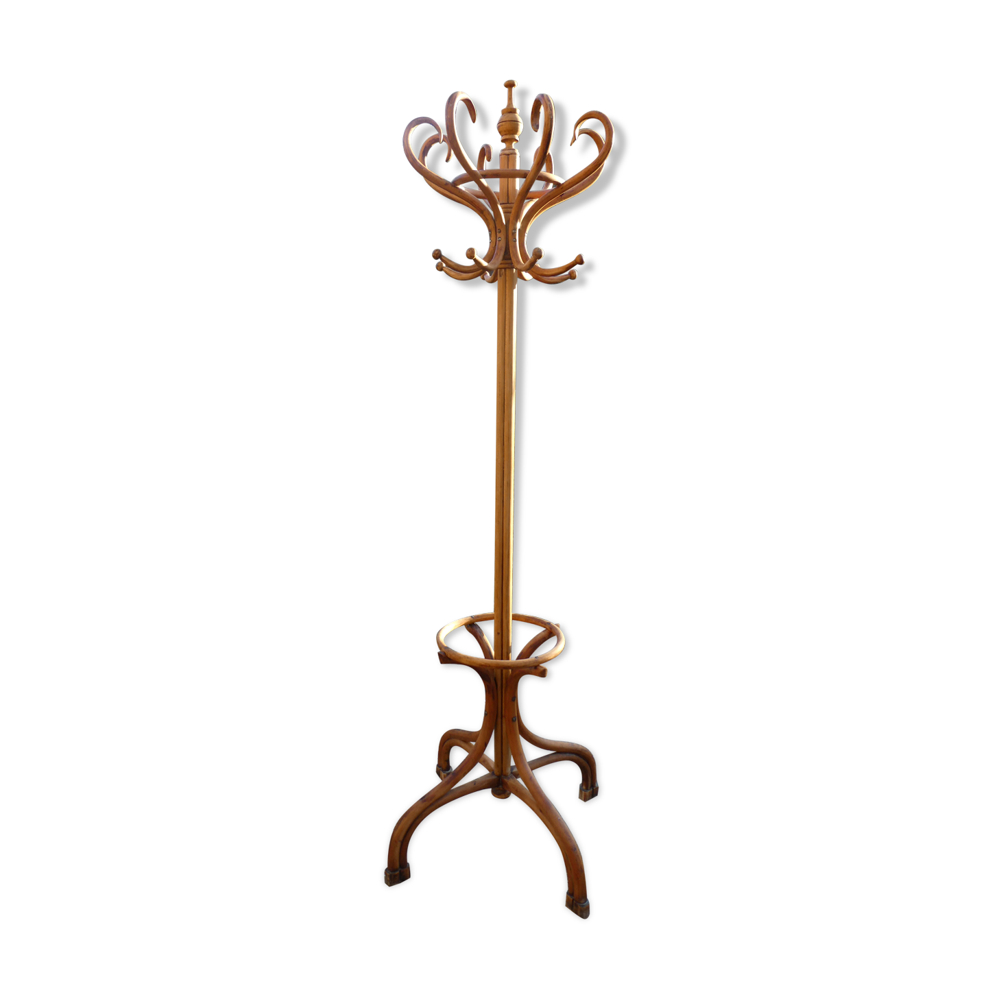 Parrot coat rack in curved wood - Art Nouveau