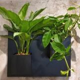 Plant design piece