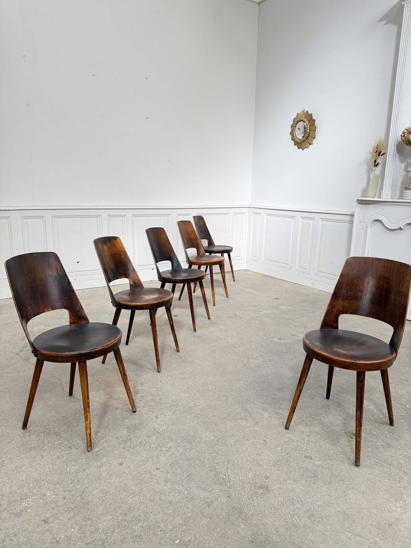 6 chocolate brown Baumann Mondor chairs