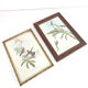 Lot 2 wooden frames botanical illustrations J. Gould and HC Richter