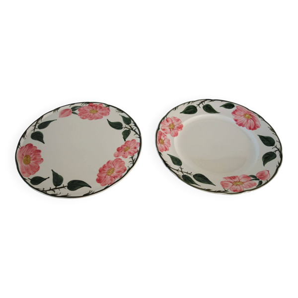 2 plats ronds Villeroy & Boch ''Wild Rose'', 1970