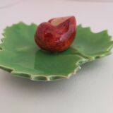 snail fork holder in snail slurry on tree leaf
