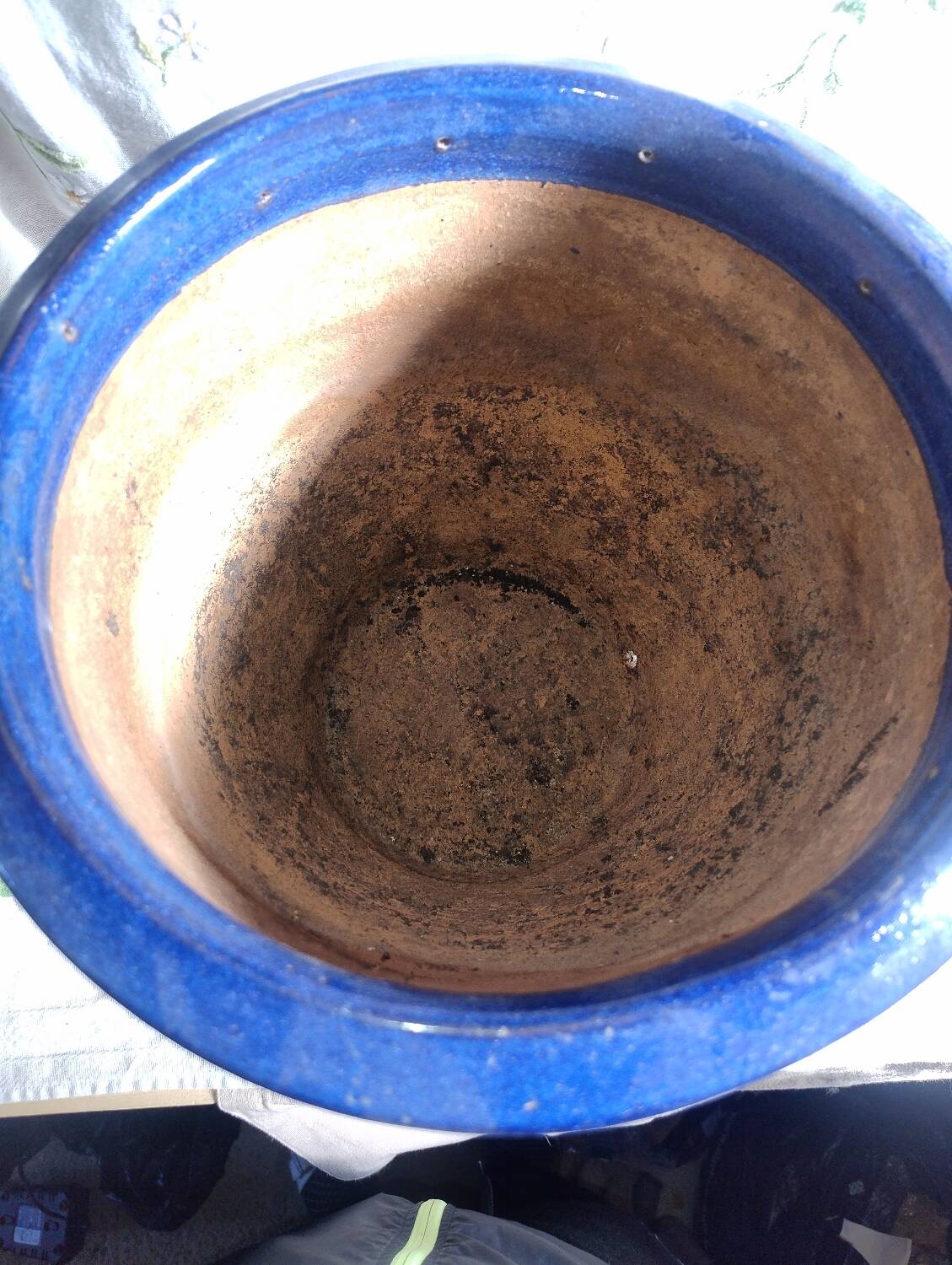 Blue ceramic planter with mosaic frieze