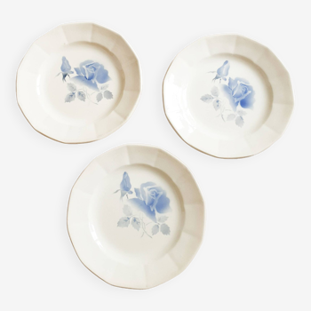 Old Digoin earthenware plates