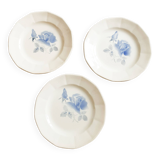 Assiettes  anciennes en faïence de Digoin