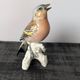 Pair of Karl Ens polychrome porcelain birds from Saxony