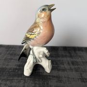 Paire d’oiseaux Karl Ens en porcelaine polychrome de Saxe