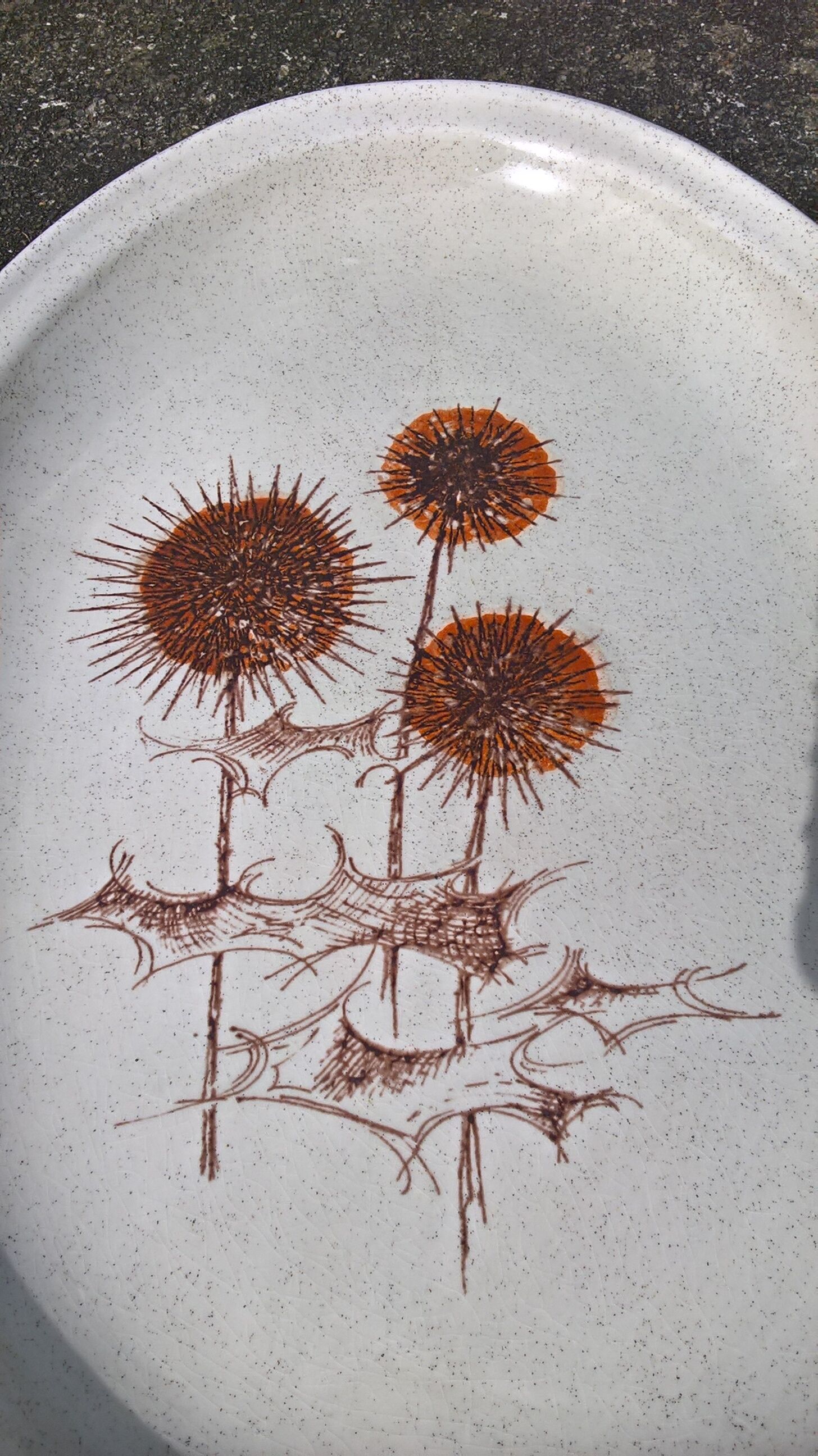 Flat thistles of sarreguemines