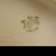 Former porcelain crockery service of Limoges "Ets Bourgeois Paris", 65 pieces