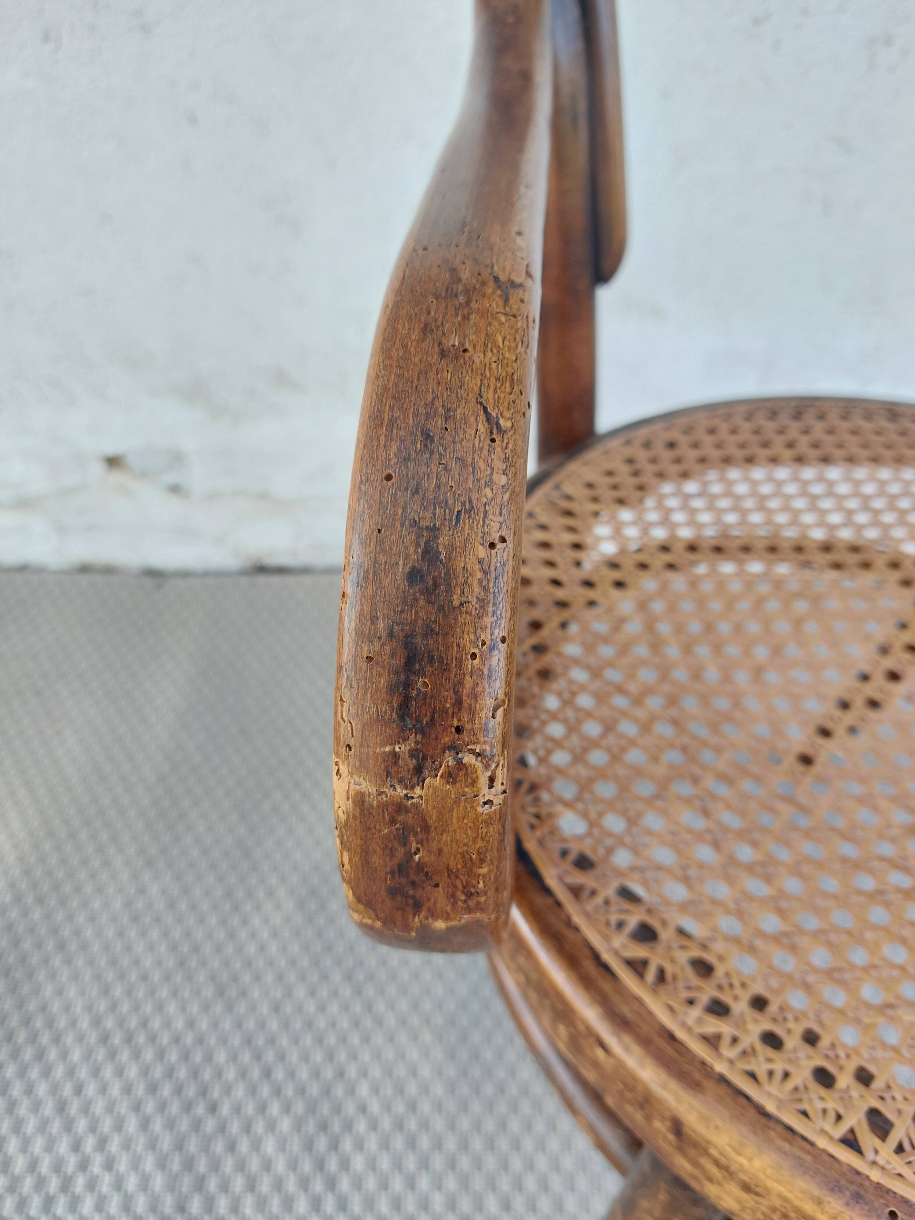 Fauteuil canné et bois courbé style Thonet Fischel, années 30