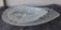 2 glass dishes or swan bowls