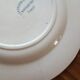 4 plates iron earth Gien model Ducks