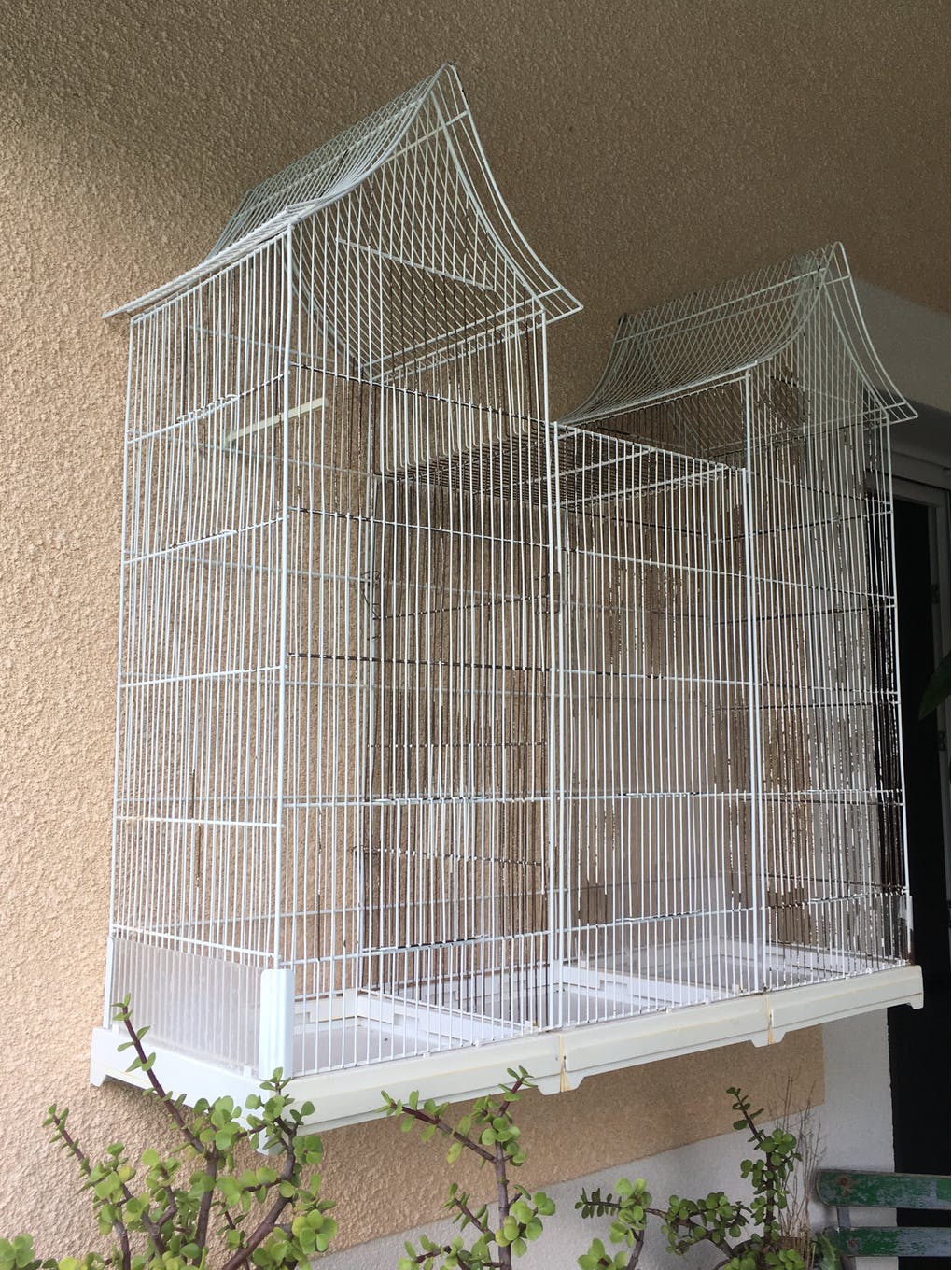 Cage vintage