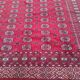 Old Afghan carpet in wool – hand-knotted – tribal patterns – 293 × 186 cm