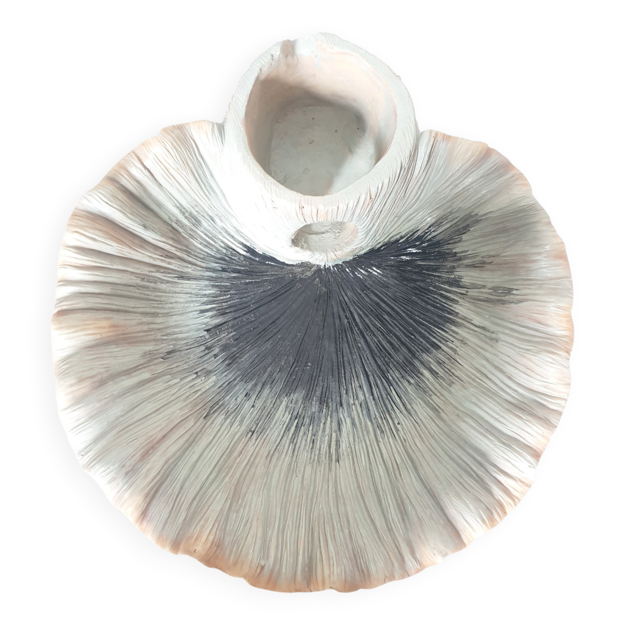 Vasque Coquillage Effet-Mer