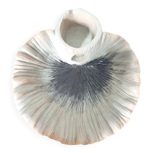 Vasque Coquillage effet-Mer