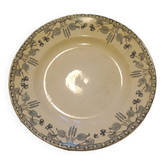 Hazelnut Sarreguemines dish