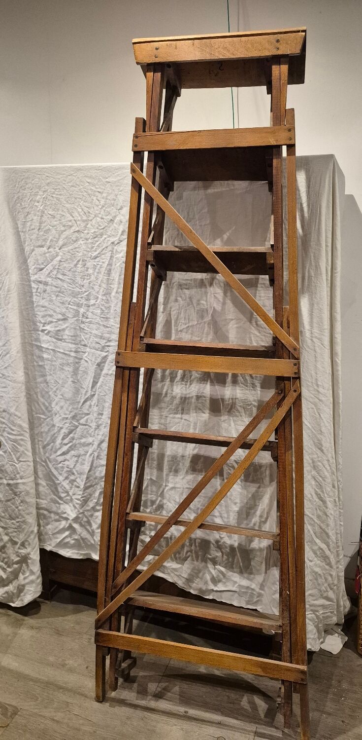 Old library step ladder