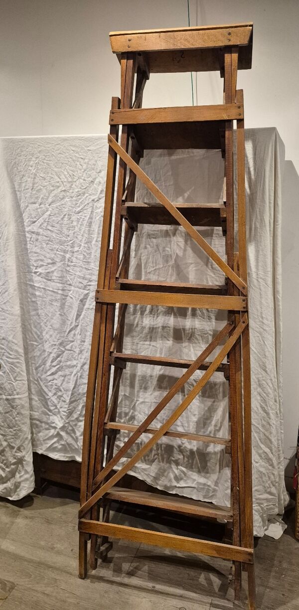 Ancien escabeau de bibliothèque