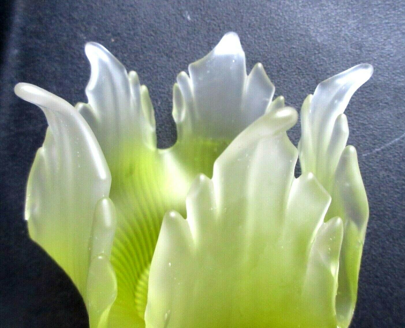 Tulipe à griffe en verre vert anis dégradé, fleur à 5 pétales découpés
